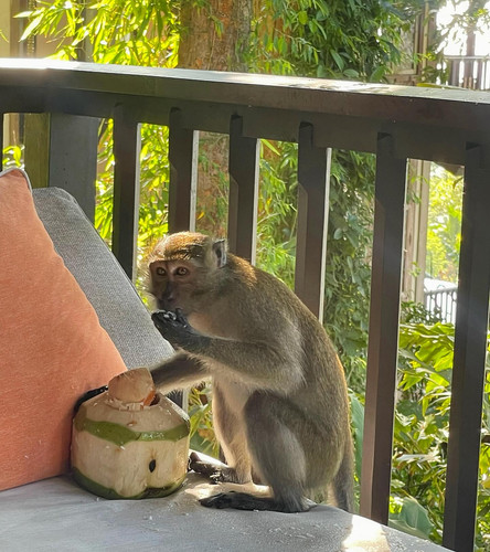 603922626 17855203941594390 2401993785554728233 n.jpg