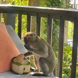 603922626 17855203941594390 2401993785554728233 n