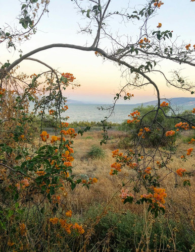 601052747 17854599555594390 6966896619119409720 n.jpg