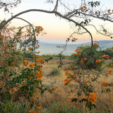 601052747 17854599555594390 6966896619119409720 n