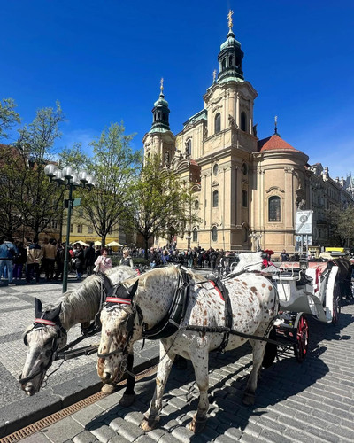 590782526 17852661729594390 3343020069875011173 n.jpg