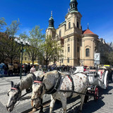 590782526 17852661729594390 3343020069875011173 n