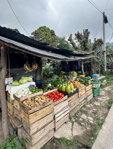 590431908 17854457754594390 1674699614360580475 n.jpg