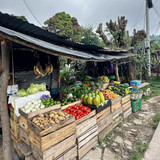 590431908 17854457754594390 1674699614360580475 n