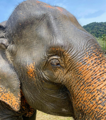 605112058 17855203842594390 9190398274229151021 n.jpg