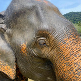 605112058 17855203842594390 9190398274229151021 n