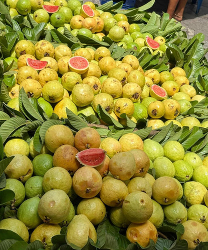 604116906 17854990083594390 296147743334123073 n.jpg