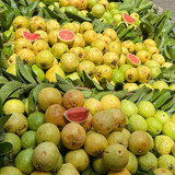 604116906 17854990083594390 296147743334123073 n