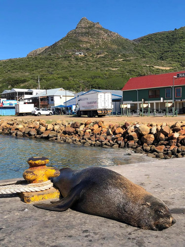 607623756 17856054174594390 612942996397645403 n.jpg