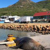 607623756 17856054174594390 612942996397645403 n