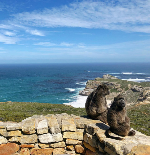 568258693 17845277997594390 6054524224161003554 n.jpg