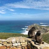 568258693 17845277997594390 6054524224161003554 n