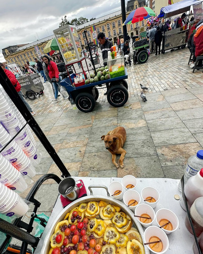 566754470 17846624985594390 7526530361805301428 n.jpg