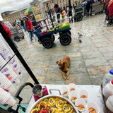 566754470 17846624985594390 7526530361805301428 n