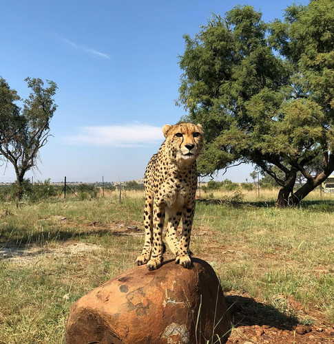 567867288 17845277979594390 5909088301147796060 n.jpg