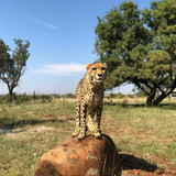 567867288 17845277979594390 5909088301147796060 n