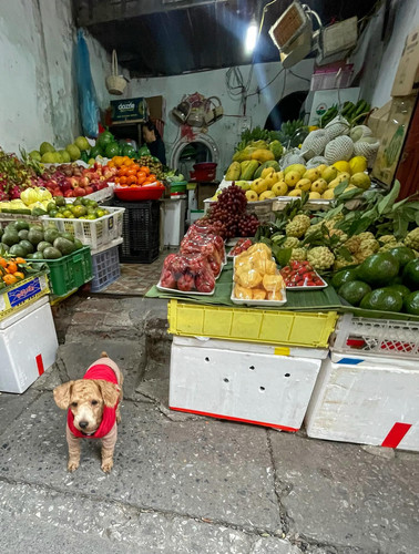 573521119 17846816520594390 247818210263242137 n.jpg