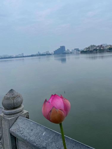 573560394 17846816547594390 2871855537592323929 n.jpg