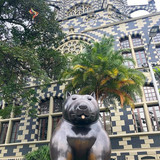 571956896 17846624868594390 5899226447006071194 n