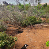 608727495 17856054192594390 3458654755473349335 n