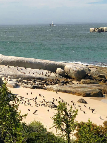 608094393 17856054183594390 5493078994288656083 n.jpg