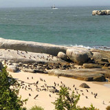 608094393 17856054183594390 5493078994288656083 n