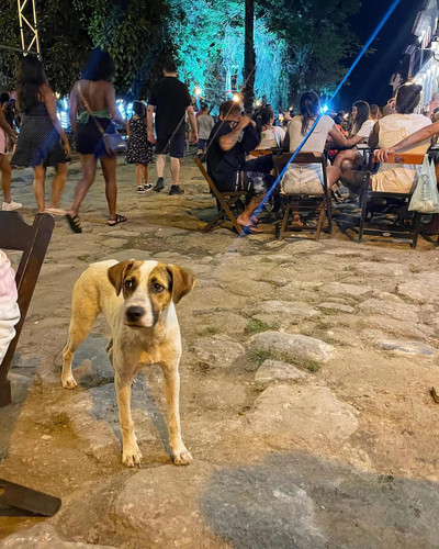 608789514 17856452841594390 676268953467166941 n.jpg