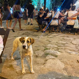 608789514 17856452841594390 676268953467166941 n