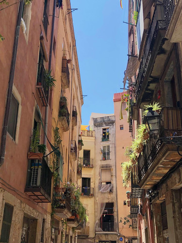 615297844 17858185404594390 3747611208262909371 n.jpg