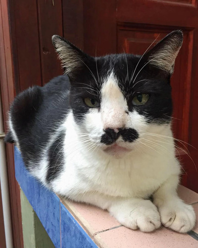 612594855 17857897746594390 542372331933488158 n.jpg