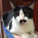 612594855 17857897746594390 542372331933488158 n