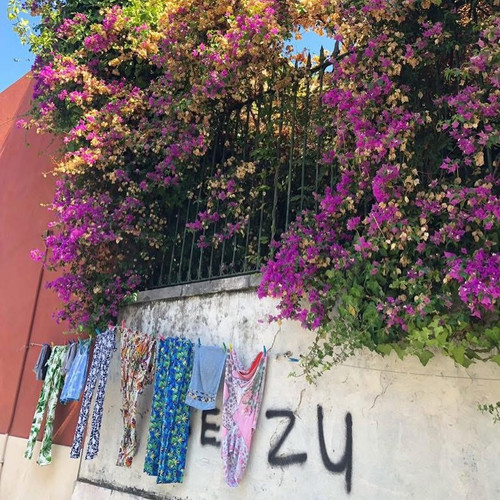 618026244 17859196278594390 6868145659074460579 n.jpg