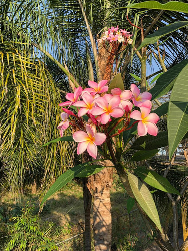 613577472 17858185458594390 8939833401420195663 n.jpg