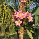 613577472 17858185458594390 8939833401420195663 n