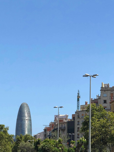 615328874 17858185431594390 169460173631812164 n.jpg