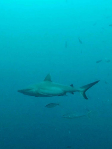 581881054 17850127491594390 7995533842857306790 n.jpg