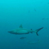 581881054 17850127491594390 7995533842857306790 n