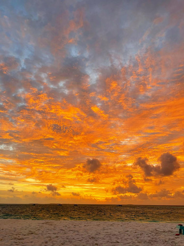 581962652 17850127425594390 8083429476389824475 n.jpg