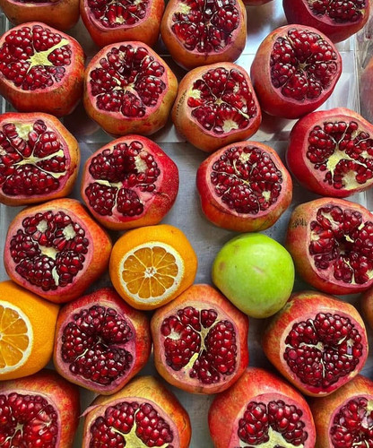 581808595 17850022644594390 6706522725834835362 n.jpg