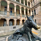 591140131 17852493828594390 1984872094741151197 n