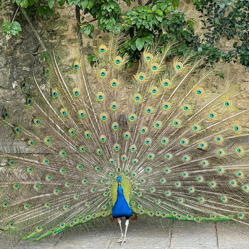 618924529 17859196395594390 4419065926080817538 n.jpg