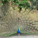 618924529 17859196395594390 4419065926080817538 n