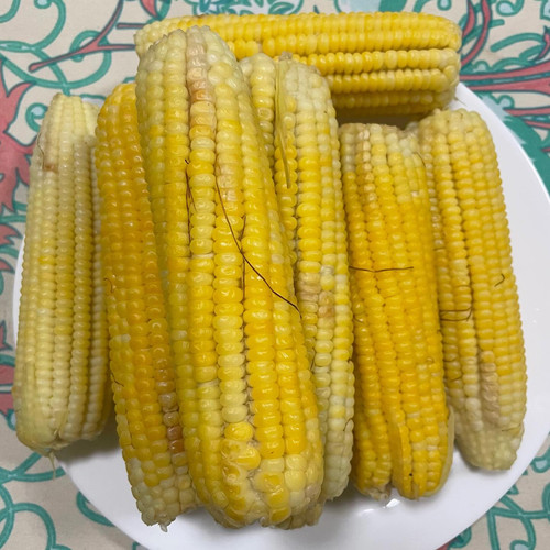 618982057 17859196407594390 6616432879219390452 n.jpg