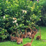 622195254 17859921099594390 1270040558638362344 n