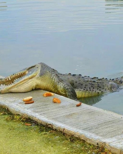 622099952 17859921051594390 825074113073002450 n.jpg