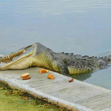 622099952 17859921051594390 825074113073002450 n