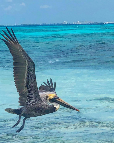 622125194 17859920997594390 4234297742115429872 n.jpg