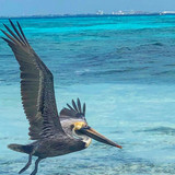 622125194 17859920997594390 4234297742115429872 n