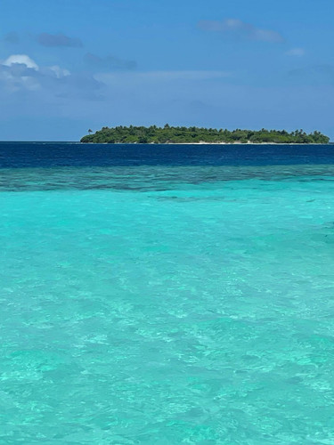 582012224 17850127380594390 7565224698937596655 n.jpg