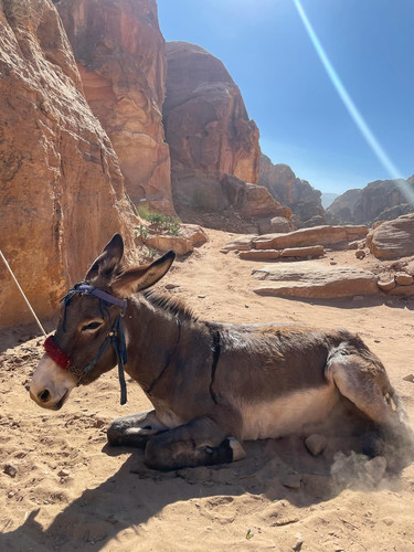 582533340 17850662301594390 2765428928048449208 n.jpg